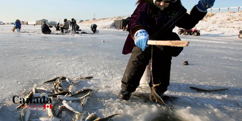Lure in the Fun with Ice Fishing Demo in UK Casinos